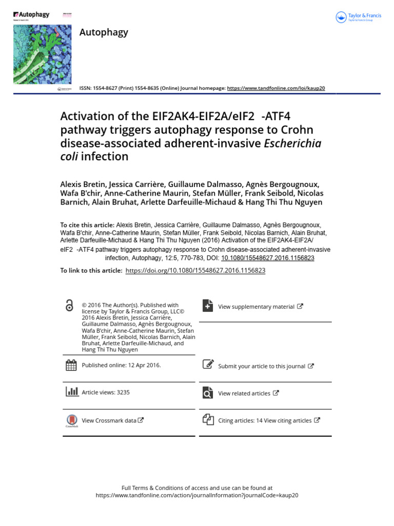 Activation of The EIF2AK4-EIF2A/eIF2 - ATF4 Pathway Triggers Autophagy ...
