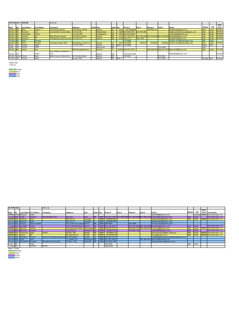 12 RE Auction Call Logs | PDF