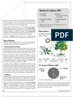 Biomass: Biomass at A Glance, 2009