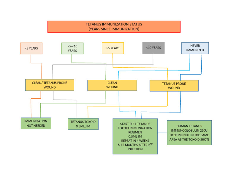 Tetanus Prophylaxis Algorithm Guide | PDF
