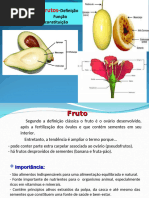Classificação dos Frutos e Tipos | PDF