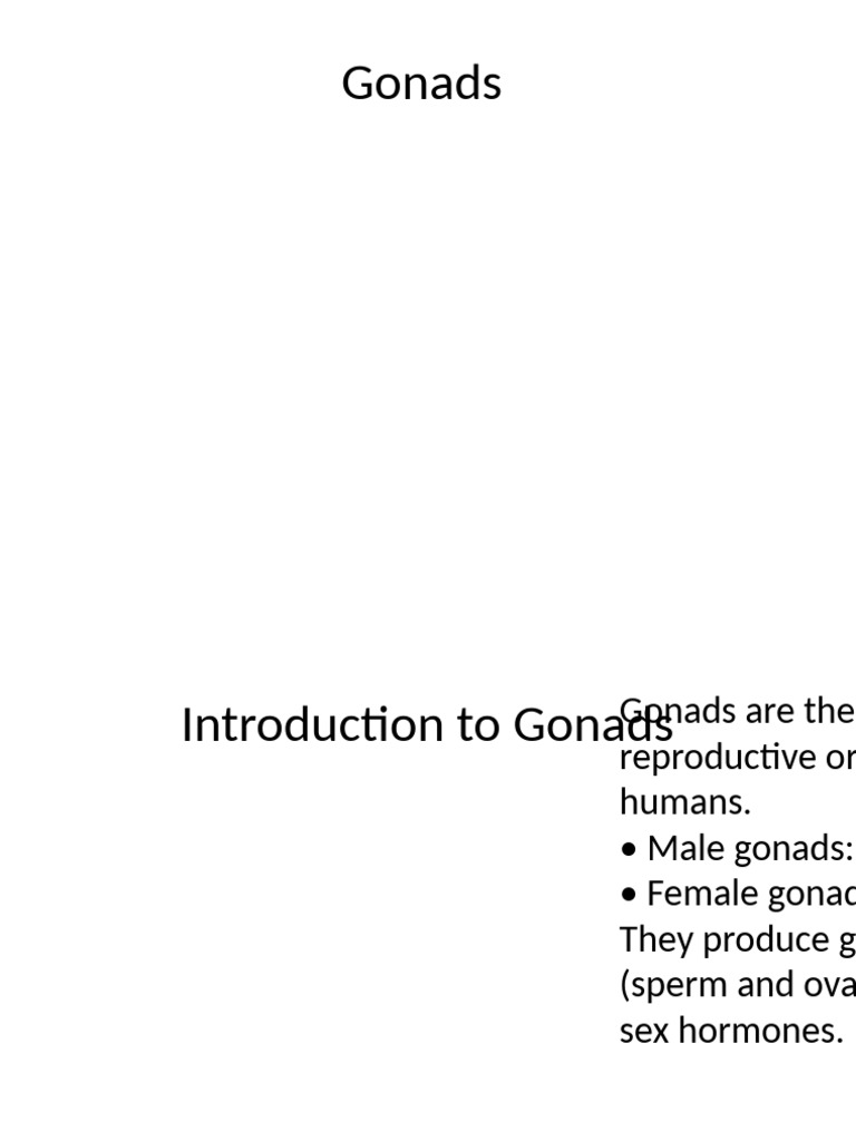 Combined Gonads Presentation | PDF | Luteinizing Hormone | Testicle