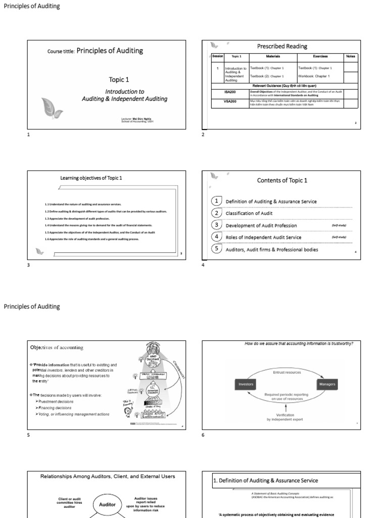 Introduction to Auditing Principles | PDF | Audit | Internal Audit