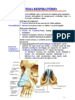 ANATOMIA II - Sistema Respiratorio