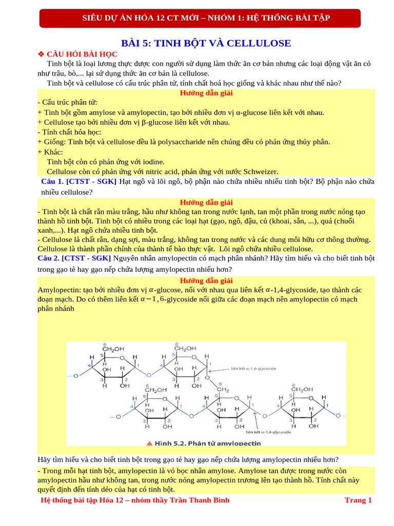 CTST - Bai 5 - Tinh Bot - Cellulose - Tuan Anh Ha | PDF