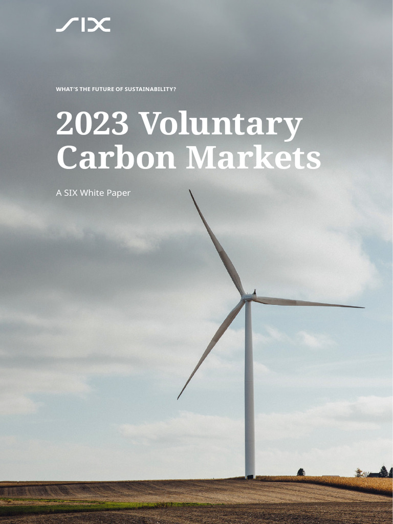 Future of Voluntary Carbon Markets | PDF | Climate Change Mitigation ...