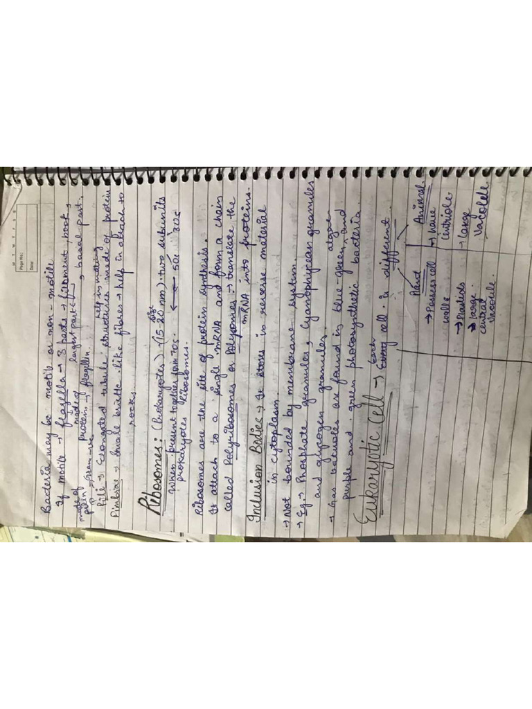 Cell Chapter Notes Part 2 | PDF