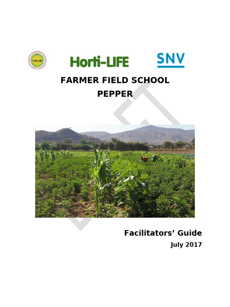 Hot Pepper Farming: Facilitators Guide | PDF | Soil | Fertilizer