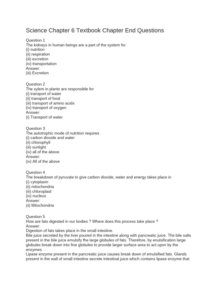 Human Body Systems and Processes Explained | PDF | Circulatory System ...