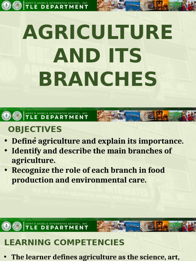 Key Branches of Agriculture Explained | PDF | Agriculture | Plants