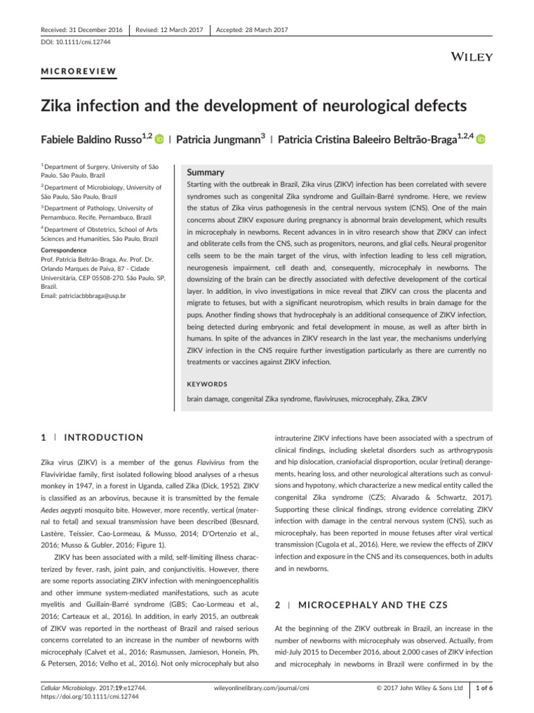 Cellular Microbiology - 2017 - Russo - Zika Infection and The ...