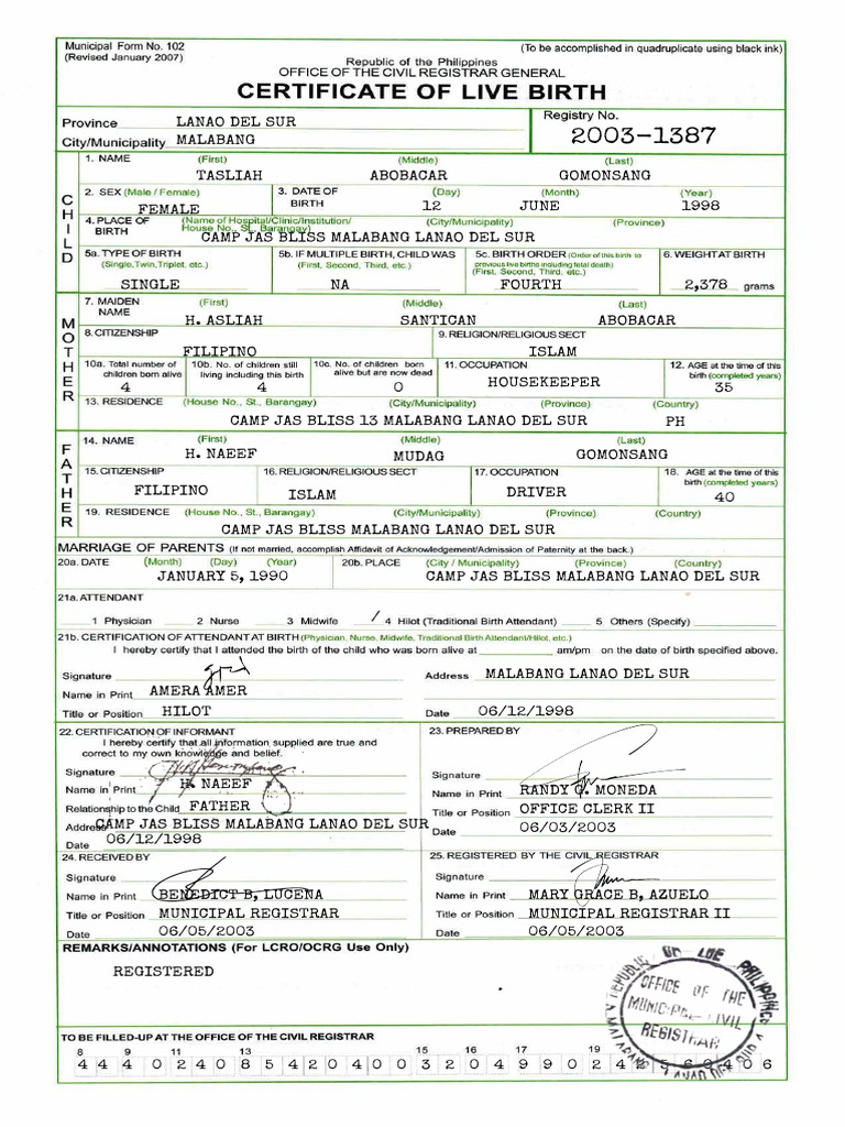 Form 102 Certificate of Live Birth Sample | PDF