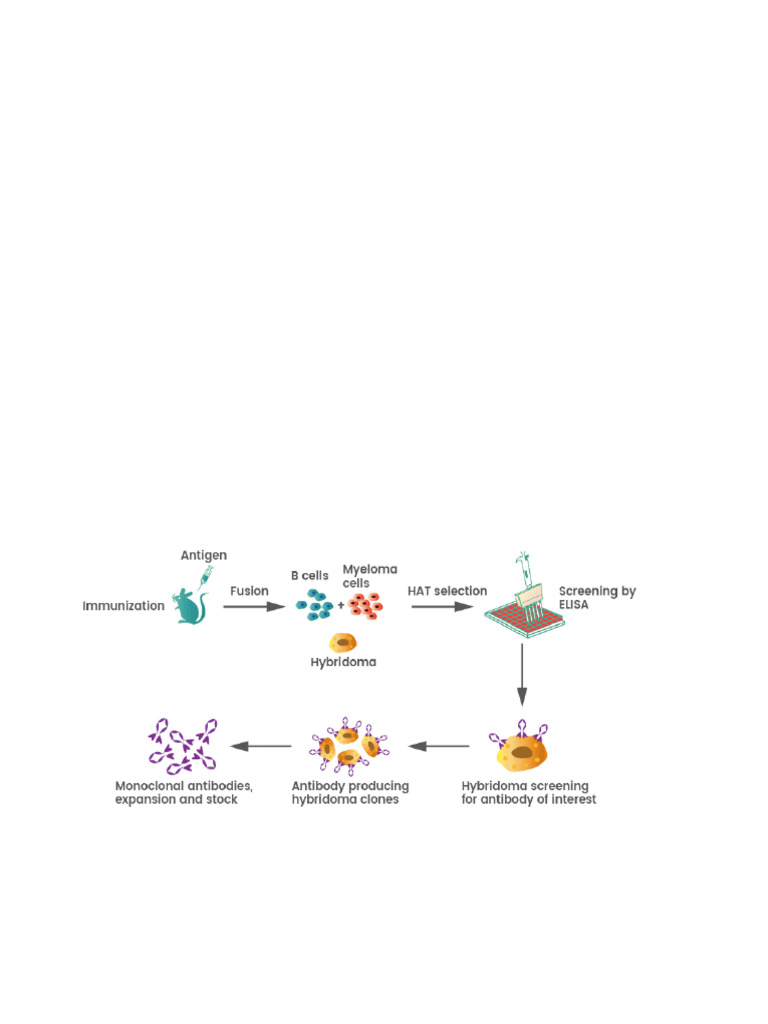 Fundamentals of Biotechnology for S5 (Ch5-9) | PDF | Monoclonal ...