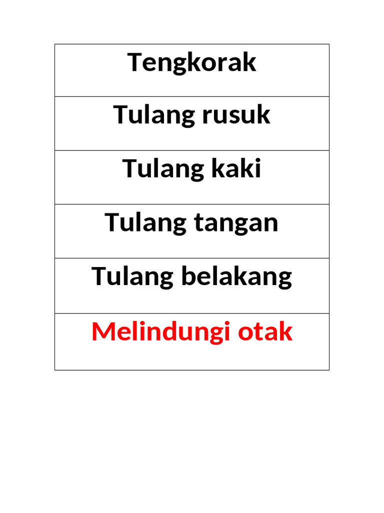 Label Sistem Rangka Manusia | PDF