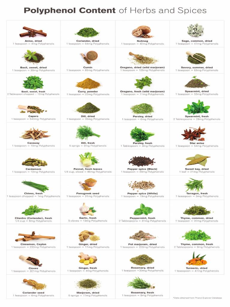 Polyphenol Content of Herbs and Spices Chart | PDF