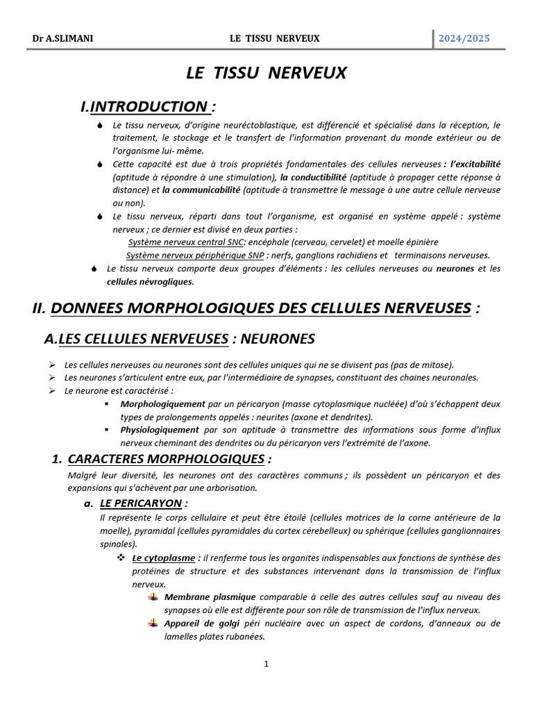 Anatomie et Fonction du Tissu Nerveux | PDF | Système nerveux | Neurone