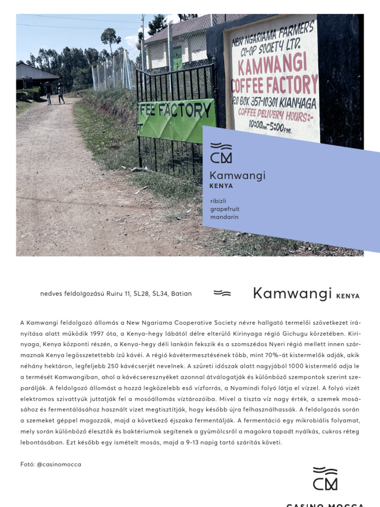 Casmo Flyer Kamwangi | PDF