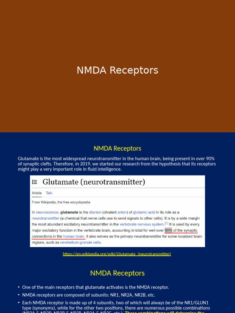 NMDA Receptors and Cognitive Function | PDF | Nmda Receptor ...