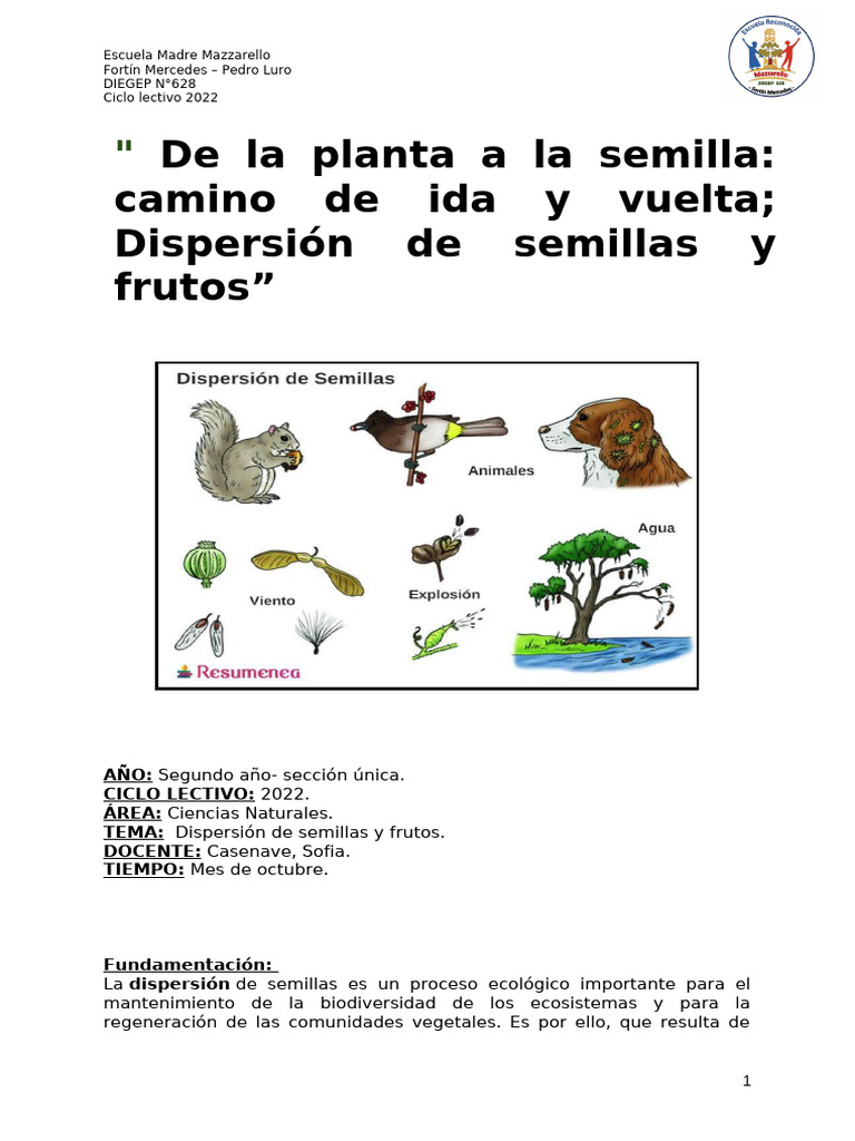 Secuencia Dispersión de Semillas y Frutos | PDF | Plantas | Semilla, image size:768x1024
