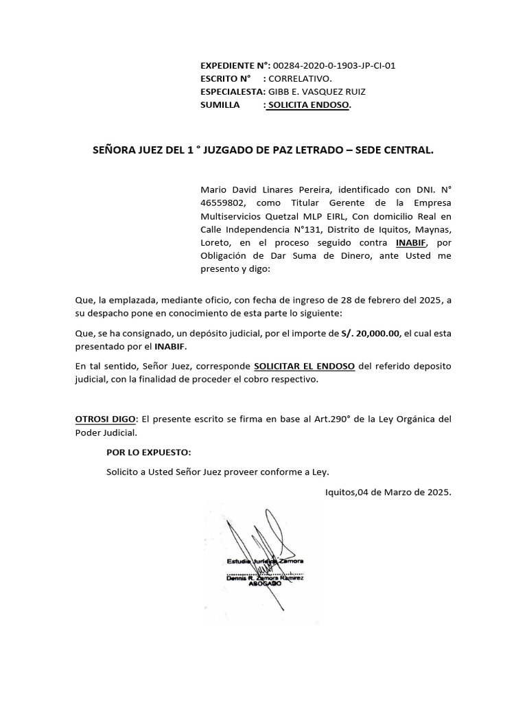 Solicito Endoso Linarez | PDF