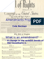 Amendments Project: Cole Norman