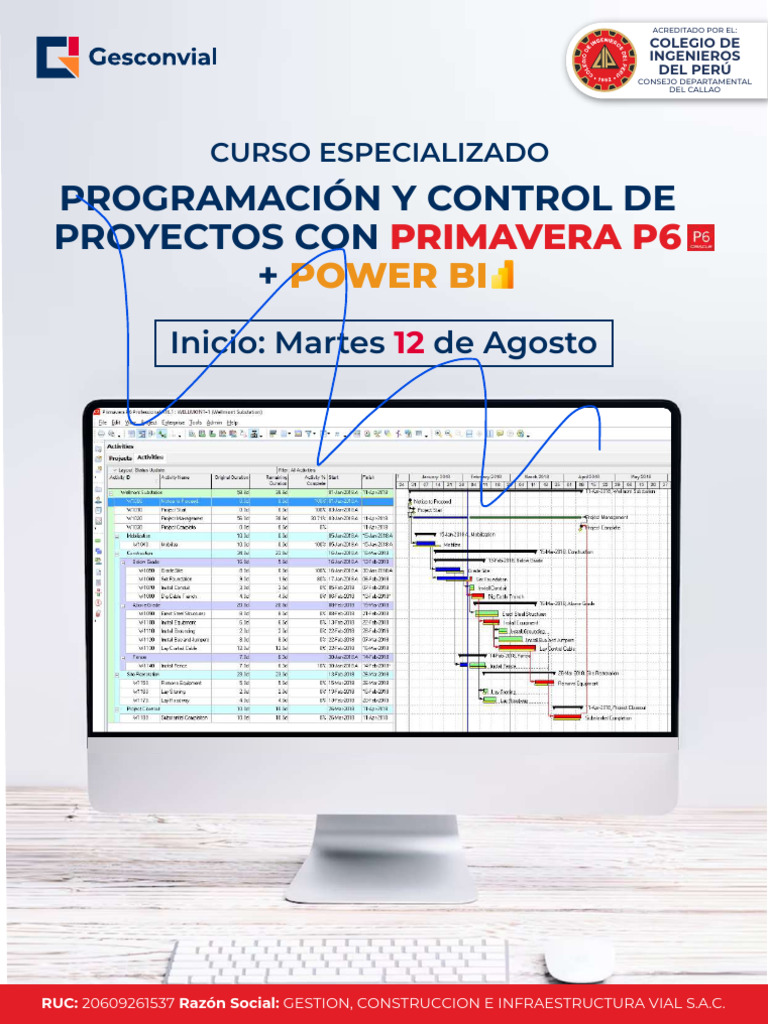 Curso Primavera P6 y Power BI Online | PDF | Profesional en el manejo ...