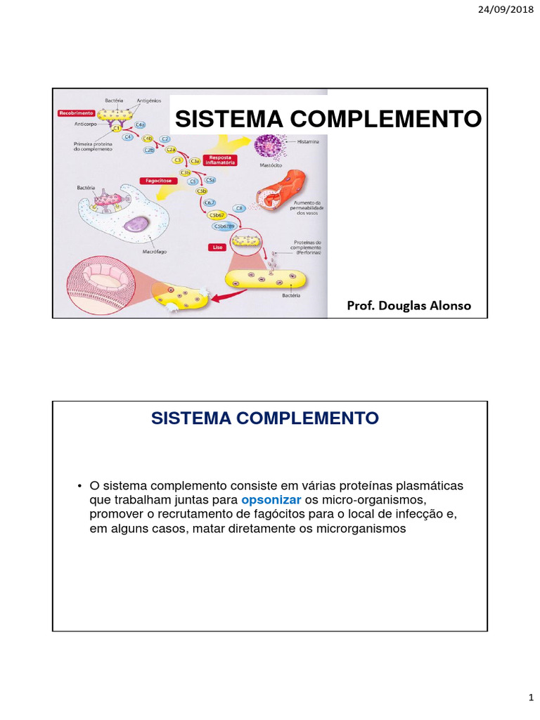 Funções e Vias do Sistema Complemento | PDF | Sistema complementar ...