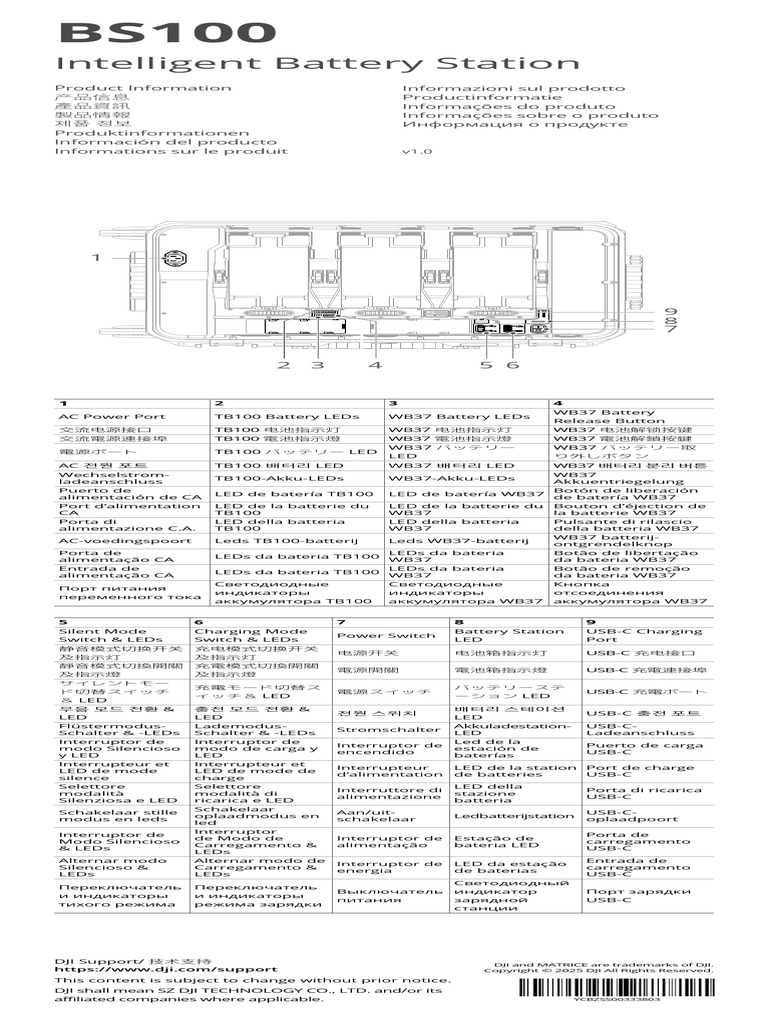 BS100 Intelligent Battery Station Guide | PDF