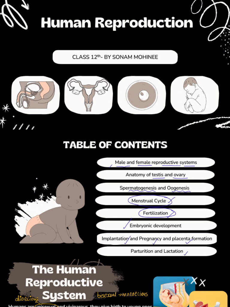 Human Reproduction Lecture-1 | PDF