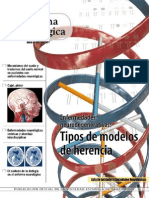 Enfermedades Neurodegenerativas Tipos de Modelos de Herencia by Bros