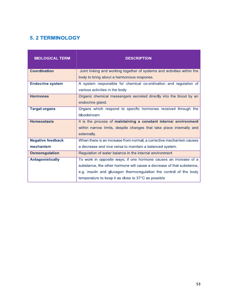 Endocrine Notes With Answered Activities | PDF