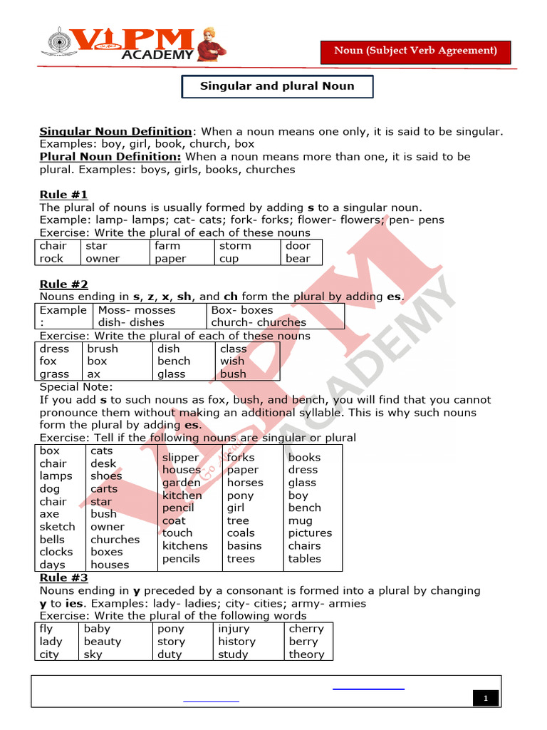 Noun Plural Forms and Rules | PDF | Plural | Noun