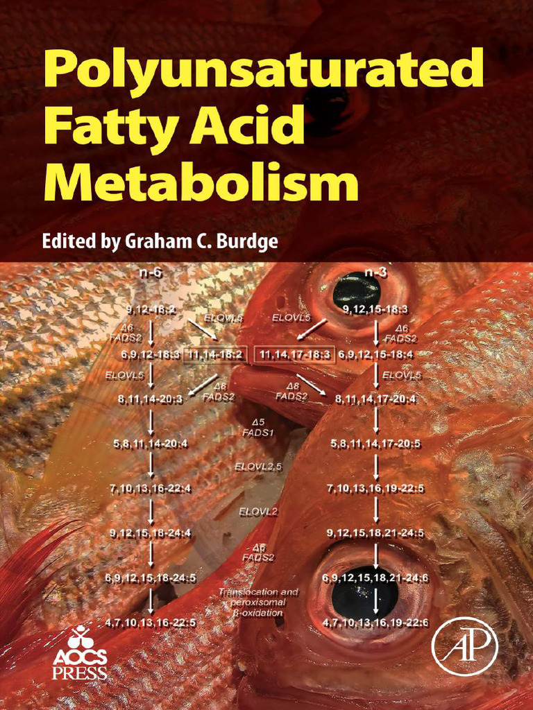 Polyunsaturated Fatty Acid Metabolism | PDF | Polyunsaturated Fat ...