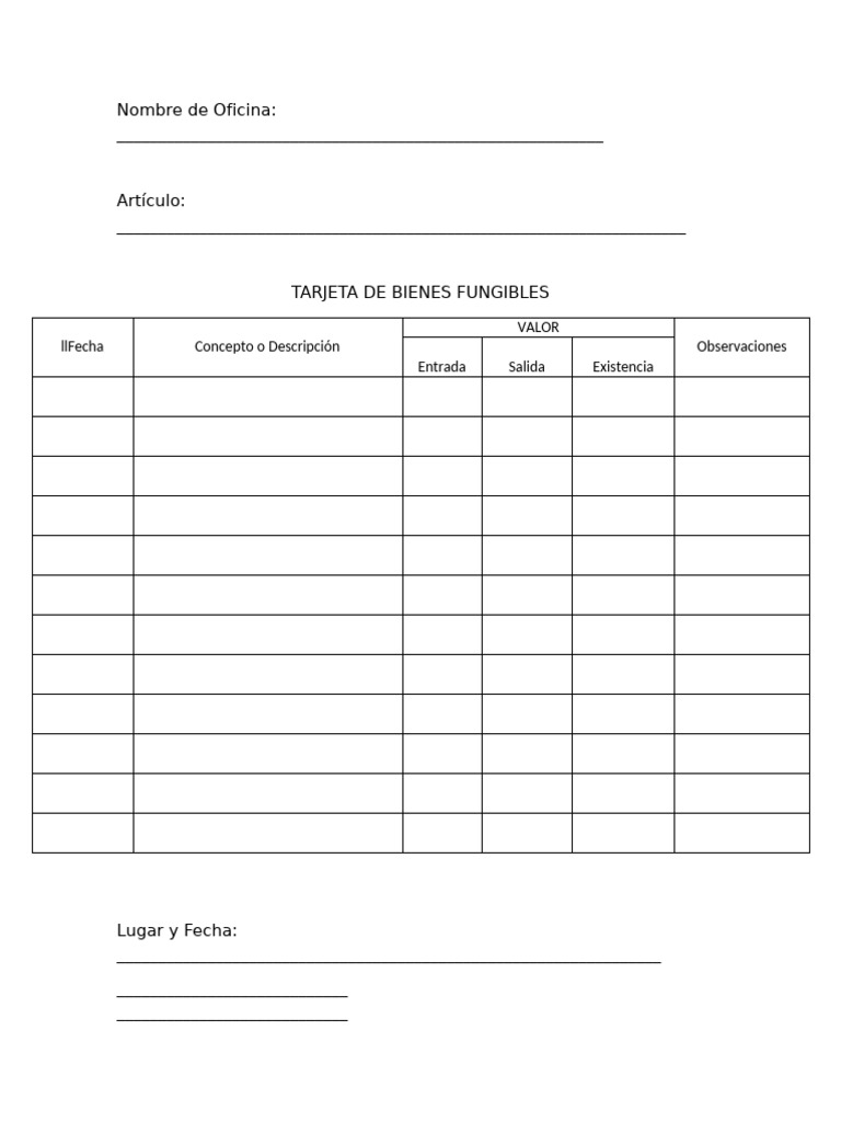 Formato Tarjeta de Bienes Fungibles | PDF