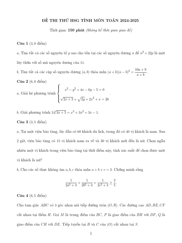 (Meo Math) Đề Thi Thử Hsg Tỉnh Môn Toán 2024 - 2025 | PDF