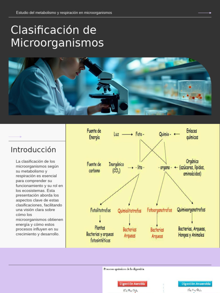 Clasificación de Microorganismos y Metabolismo | PDF | Metabolismo ...
