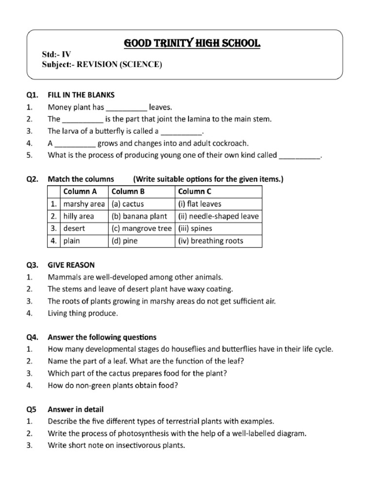IV - Science - Revision-1 | PDF