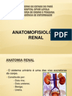 Anatomia Renal