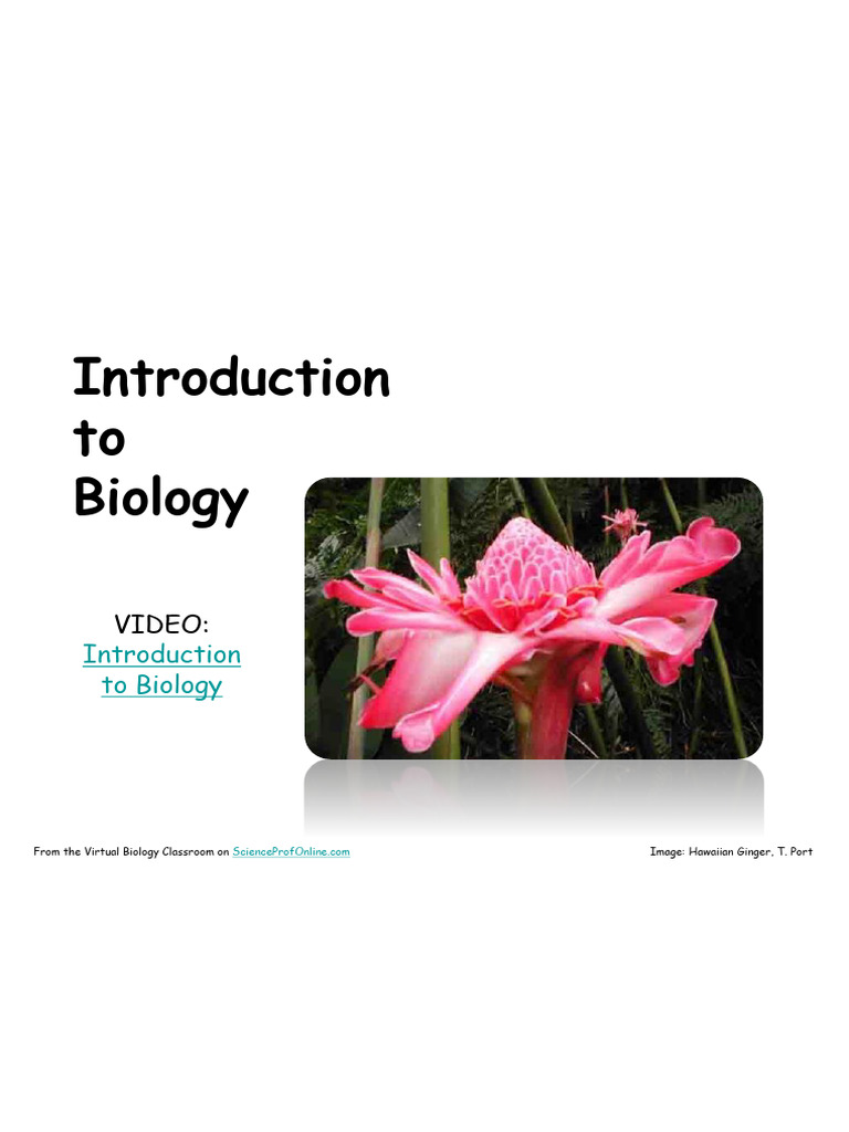 Introduction to Biology Concepts | PDF | Cell (Biology) | Life