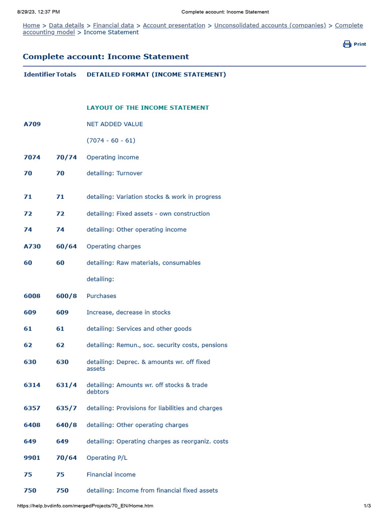 Bel-First - Income Statement | PDF | Income | Income Statement
