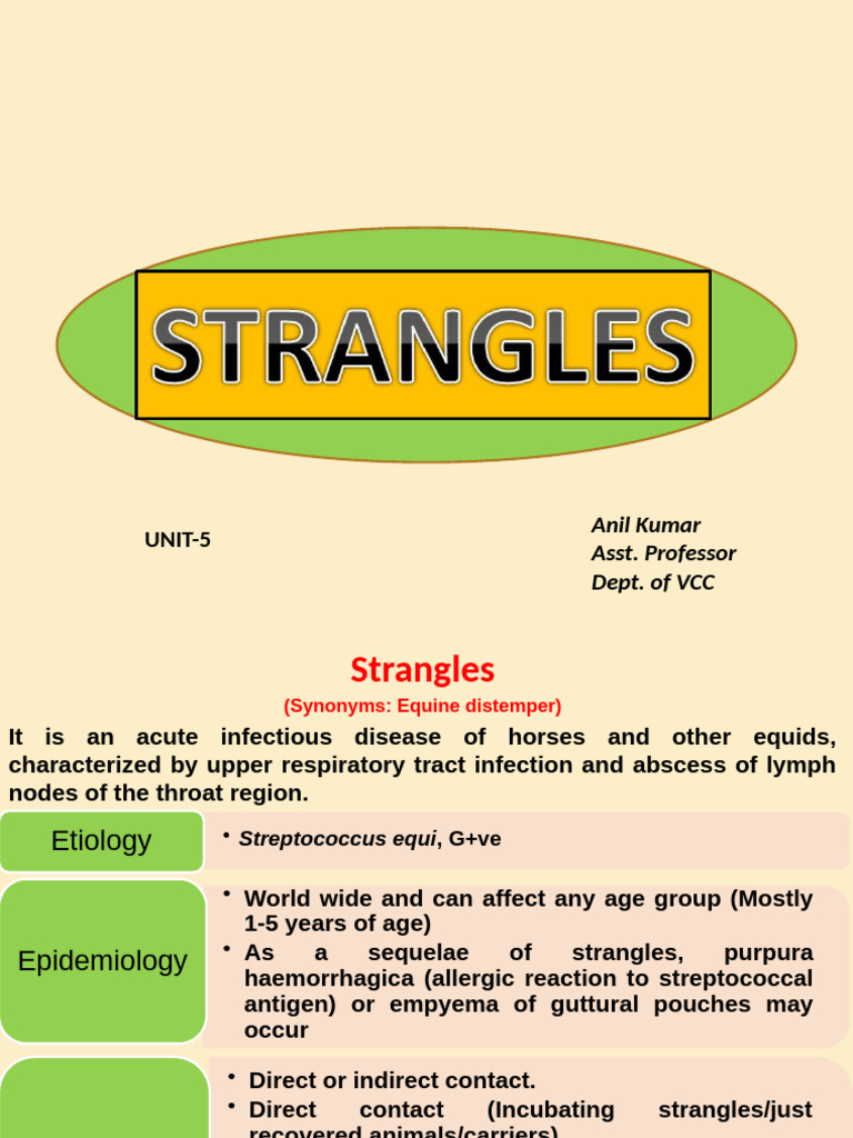 Understanding Equine Strangles Disease | PDF | Medical Specialties ...