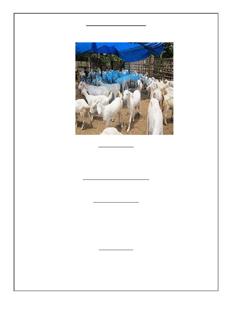 Goat Farming Project Report 2023-2024 | PDF | Agriculture | Goat