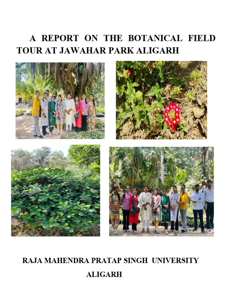 Botanical Study Tour at Jawahar Park | PDF | Botany | Plants