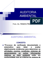 Execuçao Da Auditoria 2