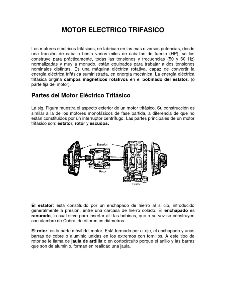 Motor Electrico Trifasico | PDF | Motor eléctrico | Corriente eléctrica, image size:768x1024