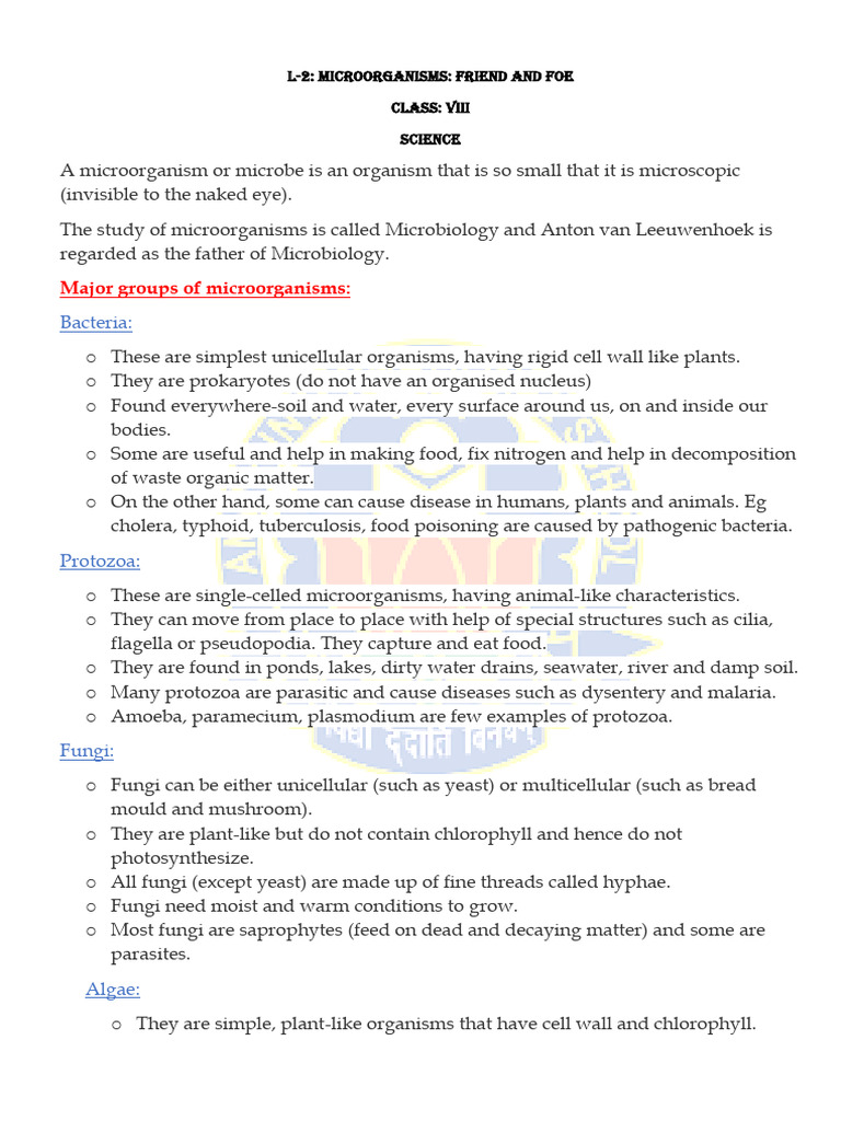 Handout of L-2 Class 8 | PDF | Microorganism | Protozoa