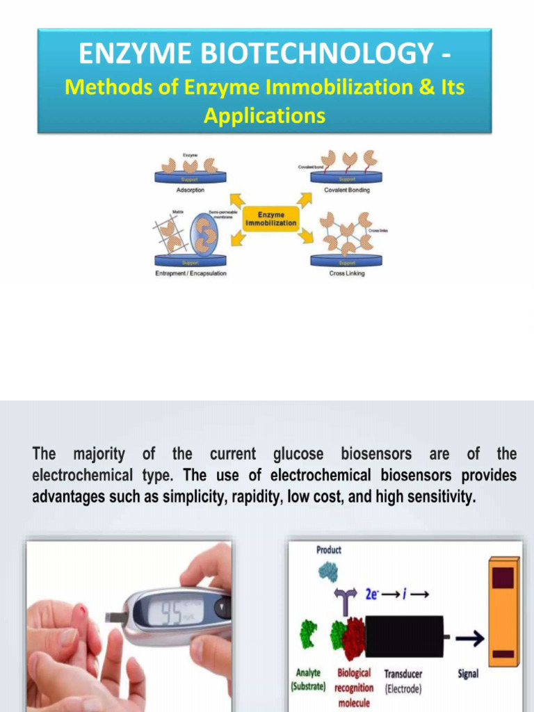 Enzyme Biotechnology - Methods of Enzyme Immobilization and ...