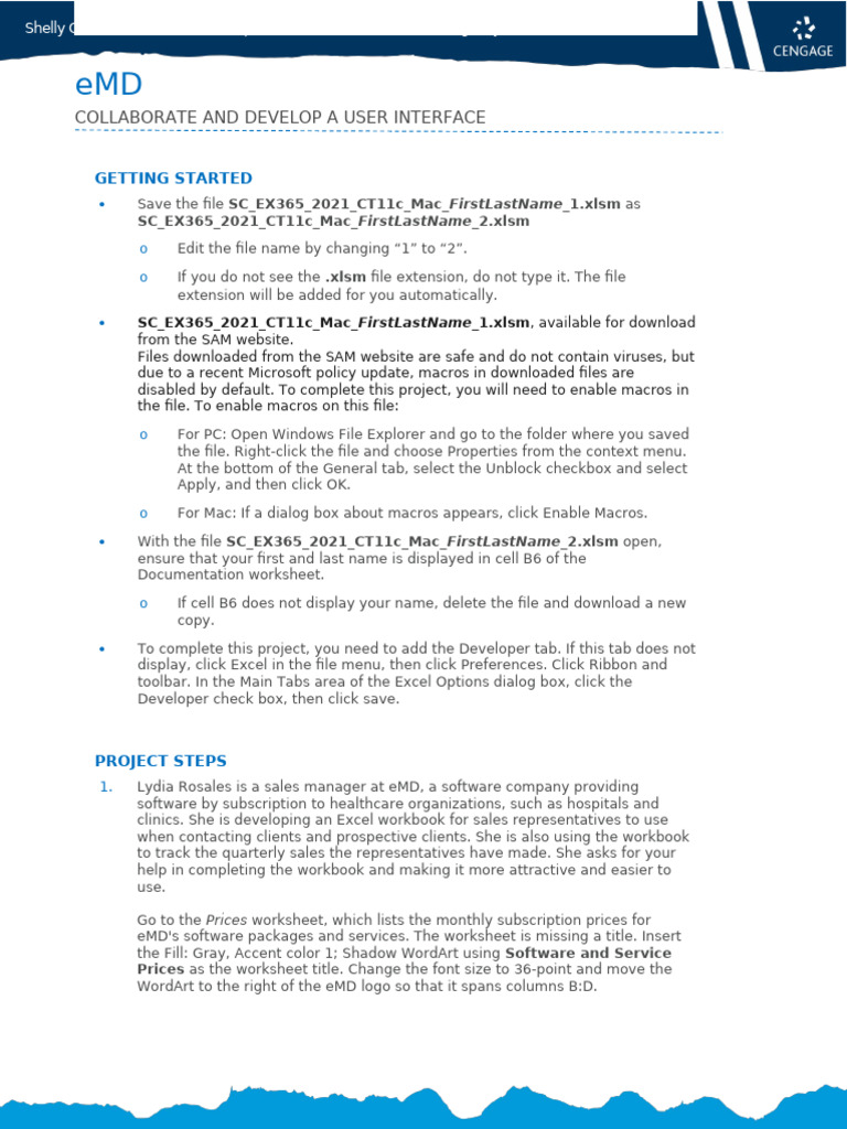 Instructions SC EX365 2021 CT11c Mac | PDF | Microsoft Excel | Computer ...
