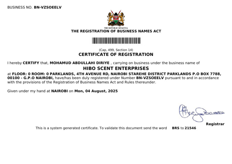 BN-VZSOEELV-Business Name Registration Certificate | PDF