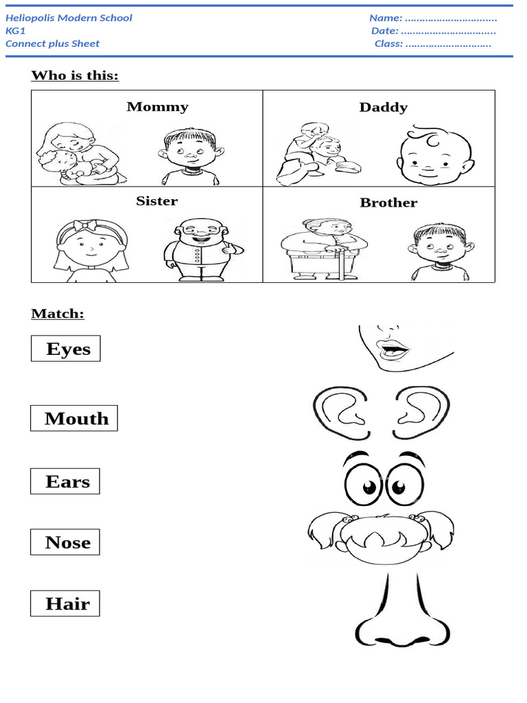Connect Plus Sheet | PDF